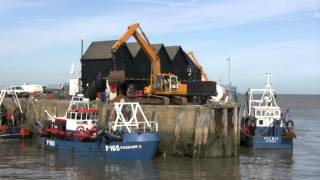 Cocklefishing Cardium Shellfish Whitstable [upl. by Alonzo]