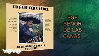 Vicente Fernández  Ese Señor de las Canas Cover Audio [upl. by Seline723]