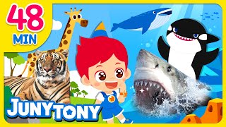 Animal Songs Compilation🐯  Shark Tiger Animal Poo Poo Song 🦁🦈More  Kids Songs  JunyTony [upl. by Ardnalahs]