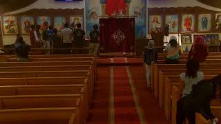 St Philopater amp St Mina Coptic Orthodox Church Live Stream [upl. by Akayas]