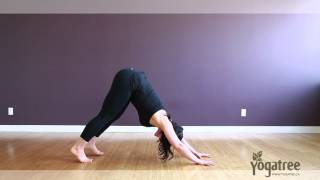 How to Do a Downward Facing Dog  Step by Step Breakdown Yoga Tutorial [upl. by Slyke878]