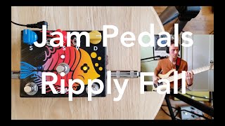 Jam Pedals Ripply Fall Bass Demo Analog Chorus Vibrato Phaser [upl. by Nisotawulo]