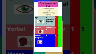 Glasgow Coma Scale Made Easy with Mnemonics amp Tricks gcs mbbs neetpgpreperation mnemonic shorts [upl. by Amlet932]