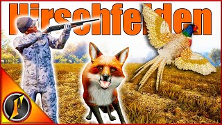 Hunting for Hirschfelden Pheasants  Is It Better Than Rancho [upl. by Aiken101]