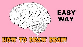 EASY WAY TO DRAW HUMAN BRAIN LS [upl. by Pierce832]