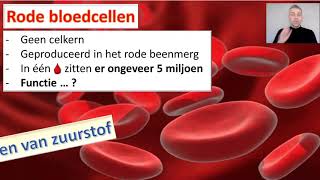 Bloed  Thema transport  BioDam video 1 van 5 [upl. by Haerr]