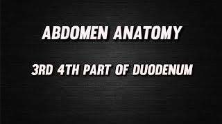 DUODENUM  3rd and 4th PART OF DUODENUM  ABDOMEN ANATOMY  BDC  ftxenos [upl. by Dunson]