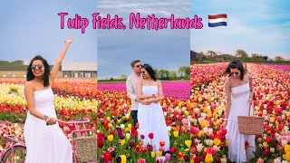 Ultimate guide to explore Tulip Fields near Amsterdam  Netherlands trip [upl. by Mogerly58]