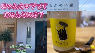 【蔵元紀行】山形県飯豊町で美味しい日本酒を醸している、若乃井酒造さんの小売り店『わかのいや』で製造販売する『にゃんカップ』は流行る予感しかありません。 [upl. by Licha238]