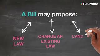 The Role of Committees in LawMaking [upl. by Arimaj]