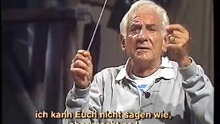 Triangle Lessons with Leonard Bernstein [upl. by Ethban99]