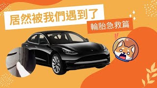 居然被我們遇到了  輪胎急救篇  Tesla 補胎  Tesla Model 3  補胎工具  DIY 補胎  輪胎破了怎麼辦  輪胎被釘子扎了  CampK Life Channel [upl. by Tap]