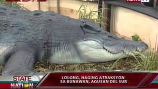 SONA Labi ni Lolong susuriin ang dahilan ng pagkamatay [upl. by Anselmi]