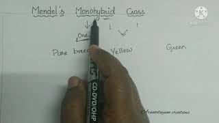 Mendels Monohybrid cross with example punett squarechecker boardclass 10 biologyHeredity [upl. by Cordier]