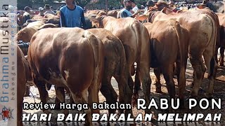 SIMAK HARGA BAKALAN DI HARI BAIK RABU PON BAKALAN MELIMPAH [upl. by Elison]