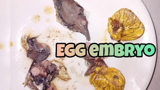 Cracking egg embyo balut egg asmr [upl. by Bolte]