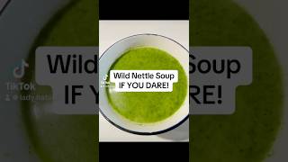 stingingnettle nettle nettlesoup freefood foraging frenchfood recipe ladyhatawa [upl. by Eelyma]