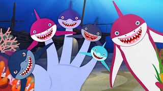 Shark Finger Family Kids Cartoon  More Nursery Rhymes for Children [upl. by Meehaf9]