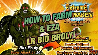 LR Bio Broly Farming amp EZA Guide The Immortal BioWarrior DBZ Dokkan Battle [upl. by Loseff561]