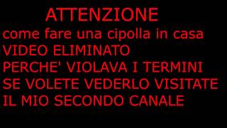 Come Fare Un petardo In Casa  cipolla  ft  Pirotecnica Fai Da Te [upl. by Poll]