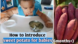 sweet potato for babies 6months Healthy and weight gain food easy to Cook and easy to digest [upl. by Corri]