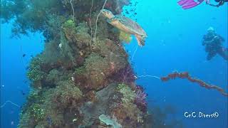 Shinkoku Maru Chuuk Diving [upl. by Eejan]