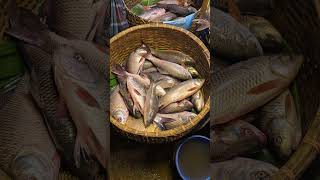 Fresh fish cholonbil authentic viralvideo [upl. by Sunda]