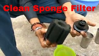 How to Clean Aquarium Sponge Filter in Just 2 Min hindi [upl. by Blayne]