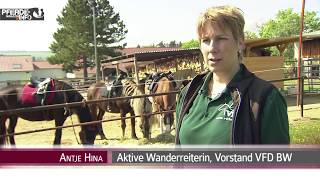 Die Ausbildung eines Wanderreitpferdes wwwpferdemagazininfo [upl. by Hael]