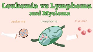 Leukemia vs Lymphoma vs Myeloma [upl. by Bein]