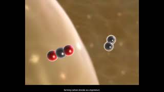 Acetyl CoA Formation [upl. by Jinny]