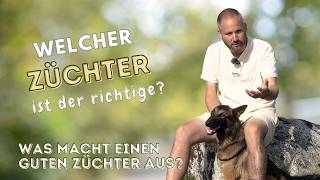 Hund vom Züchter kaufen Worauf Du achten solltest🐕 [upl. by Tisbe]