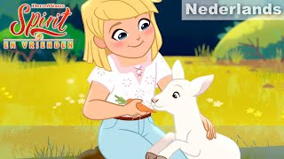 🐑 Het verloren schaapje  Exclusieve Videos  SPIRIT EN VRIENDEN [upl. by Arahsal494]