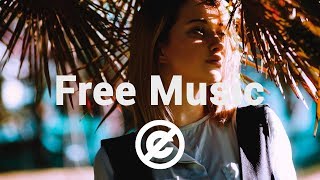 Non Copyrighted Music Danlsan  Free With You Chill [upl. by Annatsirhc]