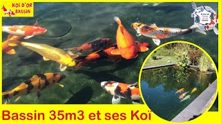 bassin de 35m3 avec de magnifiques carpes koï une création Koï dOr Bassin [upl. by Oijres]