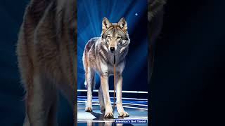 The old lady terrified the audience on AGT americasgottalent agt shorts magic miracle [upl. by Horton]