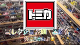 【トミカ】飾ってる全て紹介。トミカコレクション棚。反射して見づらいかも。 [upl. by Nnaeitak]