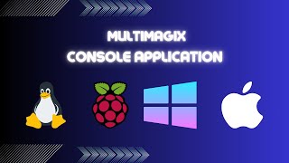 MultiMagix console app demo [upl. by Enimrac]