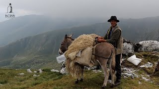 VIAȚA CIOBANILOR DIN MUNȚII RETEZAT CU PUIU MĂDĂLIN  DOCUMENTAR EP1 [upl. by Nahtanaoj]