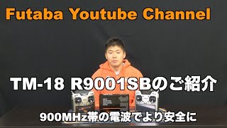 【公式】TM18 920MHz RFモジュール 商品紹介＆セッティング [upl. by Ruthie]