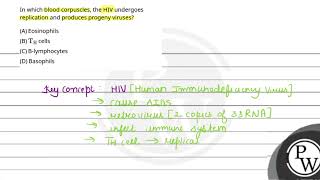 In which blood corpuscles the HIV undergoes replication and produces progeny viruses [upl. by Killoran]