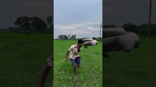 anaconda attact chassing a boy in the field vfx shorts wildlife 3 viralsvideos snake [upl. by Lednor494]