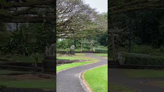 Liliuokalani Gardens in Hilo hilohawaii [upl. by Emera867]