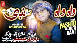 New latest Pashto Naat 2023  Wah Wah Sumra Khaista Nabi Sultan Dy  By Ameer Muawiya امیر معاویہ [upl. by Wilmar989]