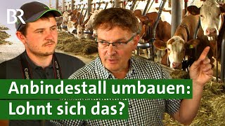 Anbindehaltung vor dem Aus  Bauern in der Klemme Dicht machen oder umbauen  Unser Land  BR [upl. by Porush]