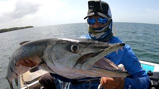 Fishing  Big Barracuda [upl. by Nicolas]