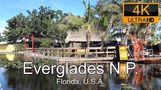 Everglades National Park Florida [upl. by Sezen]