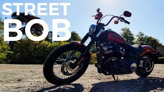 Harley Davidson Street Bob Review 4K [upl. by Segroeg876]