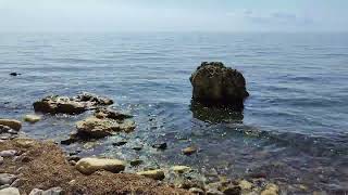 Stevns Klint Steilküste und Steinstrand dänische Ostsee [upl. by Bobina]