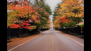 JG☆☆☆☆8K HDR 秋田 角館の紅葉と街並重伝建 AkitaKakunodate in AutumnHistoric District [upl. by Anawed]